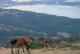 <p>vista desde A Curota</p>