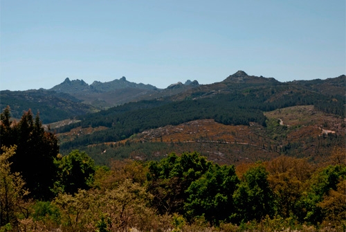 Parque Natural Baixa Limia do Xures