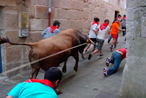 Festa do Boi