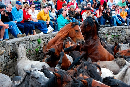 Rapa das Bestas de Sabucedo