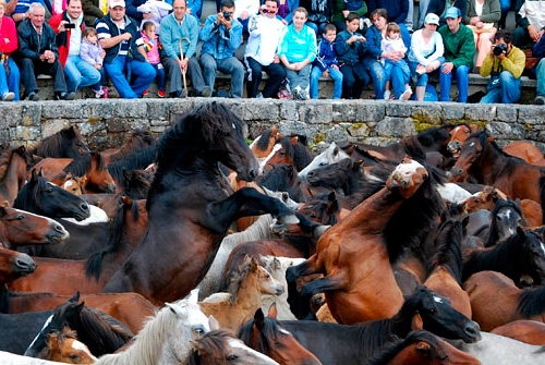 Rapa das Bestas de Sabucedo