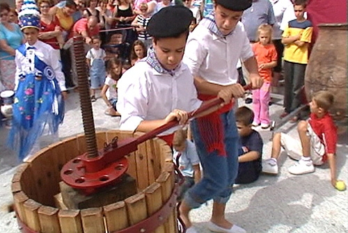 Feria del Vino del Ribeiro