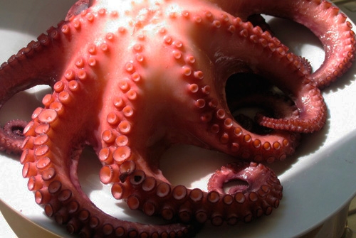 Feria del Pulpo