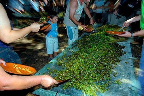 Fiesta del Pimiento Herbón