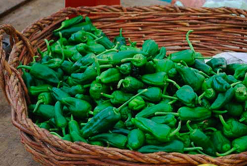 Fiesta del Pimiento Herbón