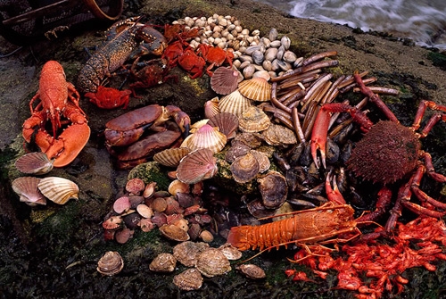 Fiesta del Marisco