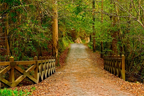 Parque Natural Fragas do Eume
