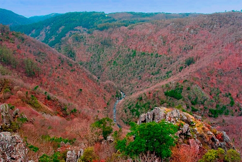 Parque Natural Fragas do Eume