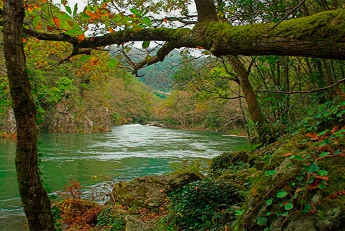 Parque Natural Fragas do Eume