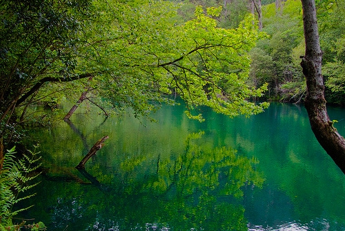 Parque Natural Fragas do Eume