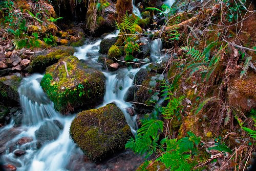 Parque Natural Fragas do Eume