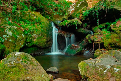 Parque Natural Fragas do Eume