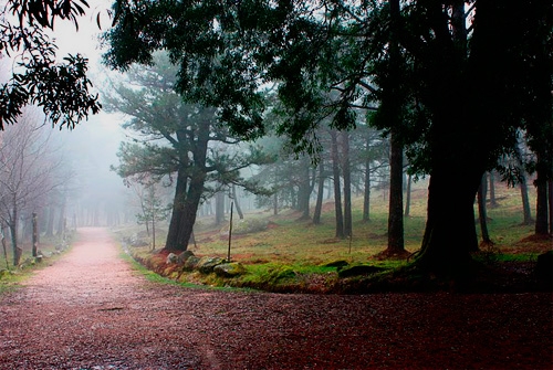 Parque Natural Monte Aloia