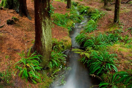 Parque Natural Monte Aloia
