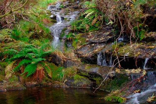 Parque Natural O Invernadeiro