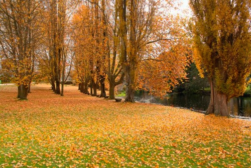 Reserva de la Biosfera Área de Allariz
