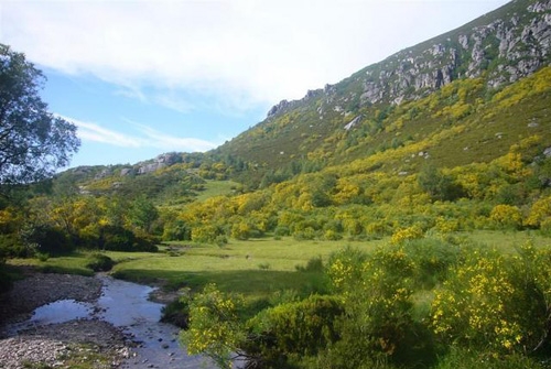Reserva de la Biosfera de la Sierra de Os Ancares