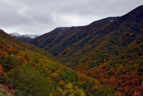 Reserva de la Biosfera de la Sierra de Os Ancares