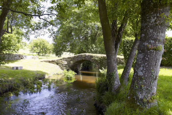 Puente Romano de Duarria