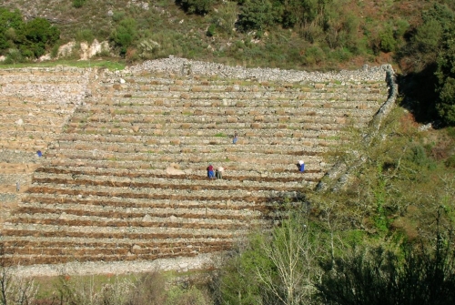 Vinos Ribeira Sacra