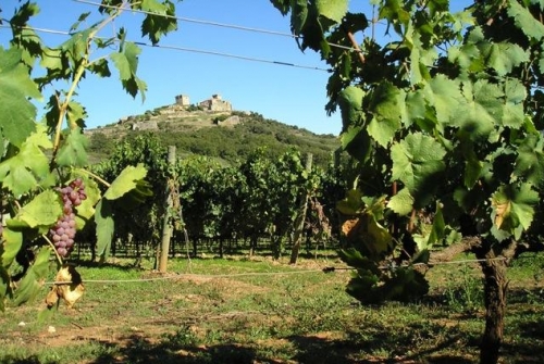 Vinos de Monterrei