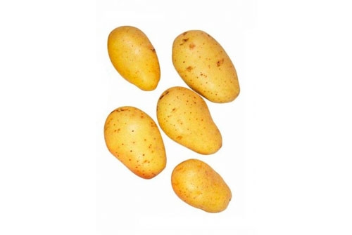 Patata de Galicia