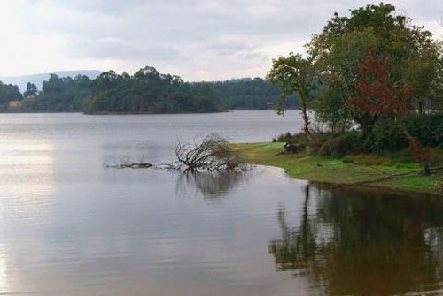 Espacio Natural Encoro de Abegondo Cecebre