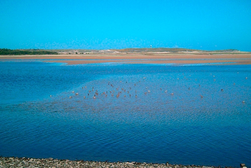 Espacio Natural Laguna y Arenal de Valdoviño