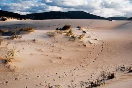 Espacio Natural Laguna y Arenal de Valdoviño