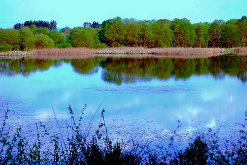 Espacio Natural Laguna de Cospeito