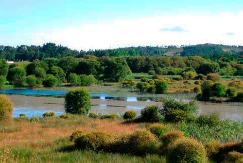 Espacio Natural Laguna de Cospeito