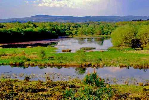 Espacio Natural Laguna de Cospeito