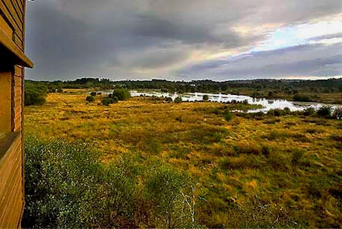 Espacio Natural Laguna de Cospeito