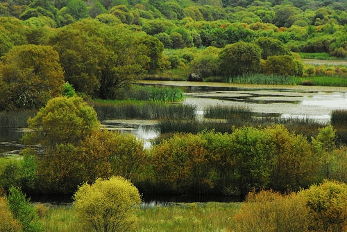 Espacio Natural Laguna de Cospeito
