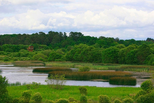 Espacio Natural Laguna de Cospeito