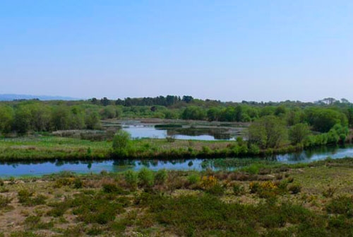 Espacio Natural Laguna de Cospeito