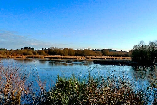 Espacio Natural Laguna de Cospeito
