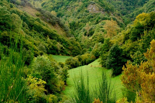 Lugar de Importancia Comunitaria Serra de O Caurel