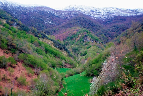 Lugar de Importancia Comunitaria Serra de O Caurel