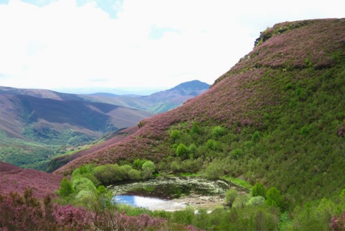 Lugar de Importancia Comunitaria Serra de O Caurel