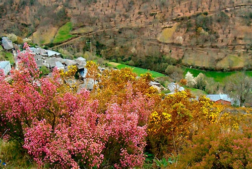 Lugar de Importancia Comunitaria Serra de O Caurel