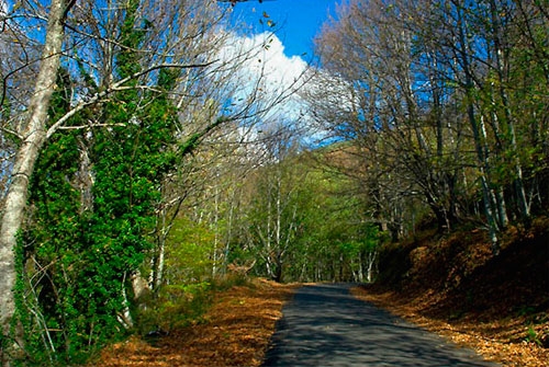 Lugar de Importancia Comunitaria Serra de O Caurel