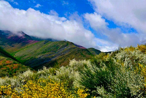 Lugar de Importancia Comunitaria Serra de O Caurel