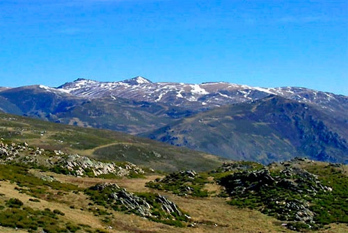 Lugar de Importancia Comunitaria Peña Trevinca