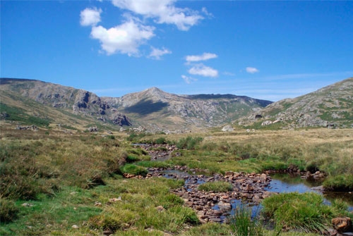 Lugar de Importancia Comunitaria Peña Trevinca