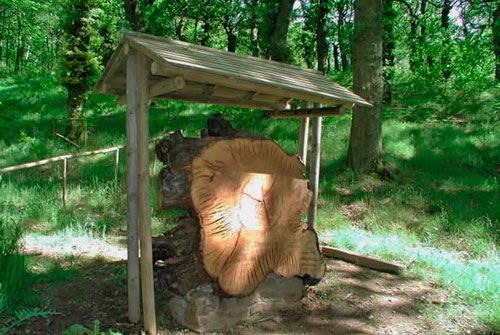 Monumento Natural Fraga de Catasos