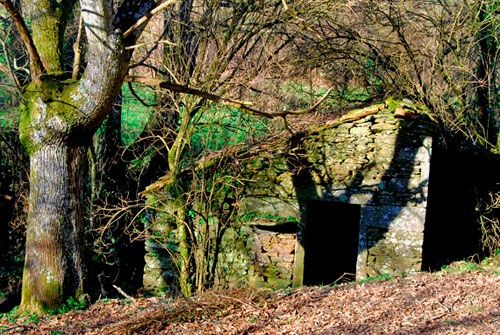 Monumento Natural Fraga de Catasos