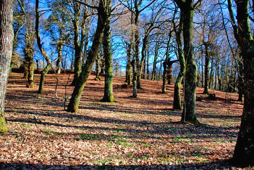 Monumento Natural Fraga de Catasos