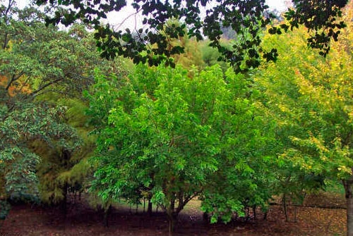 Monumento Natural Fraga de Catasos