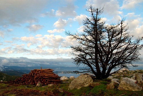Sitio Natural de Interes Cumio da Curotiña